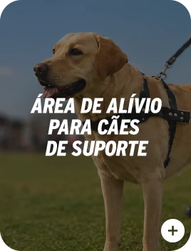 Serviço de acessibilidade 6